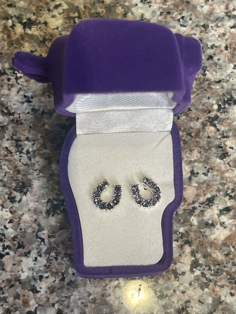 EARRINGS HORSESHOE