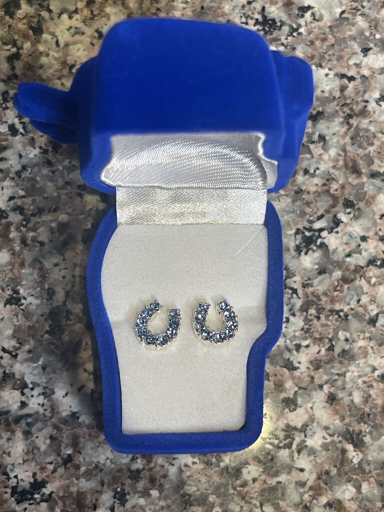 EARRINGS HORSESHOE
