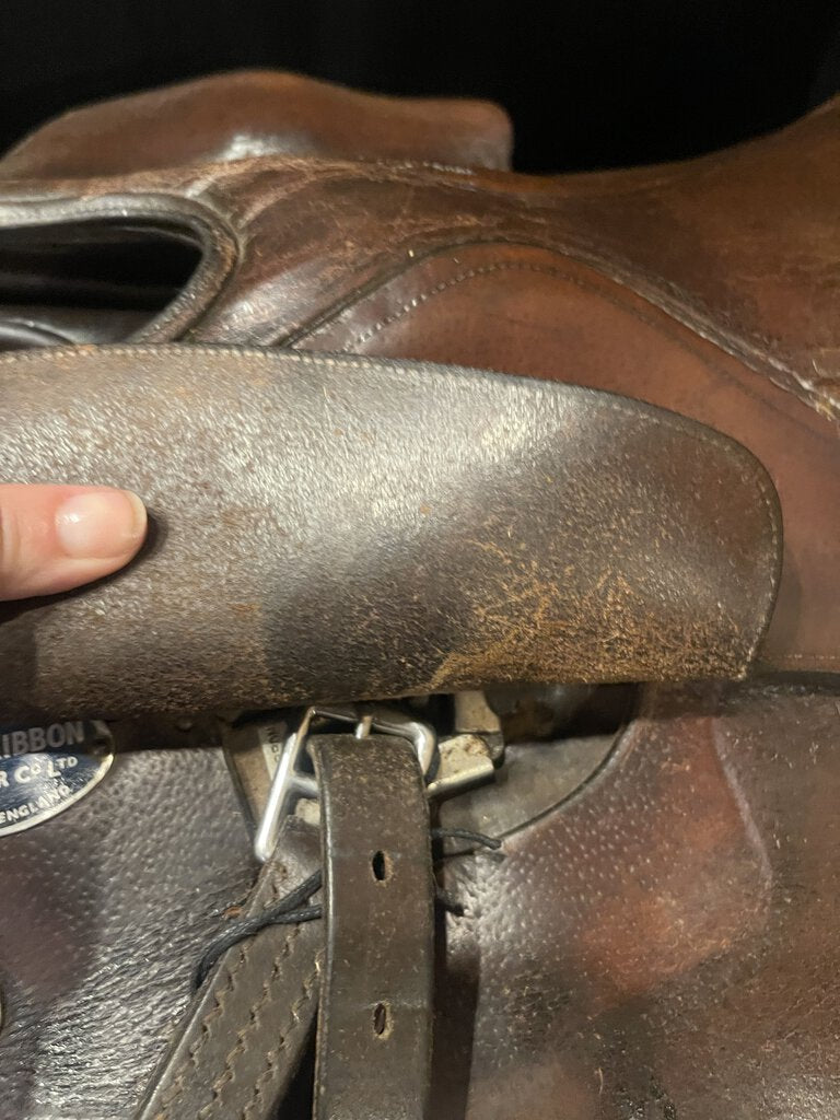 18" BLUE RIBBON LESSON SADDLE