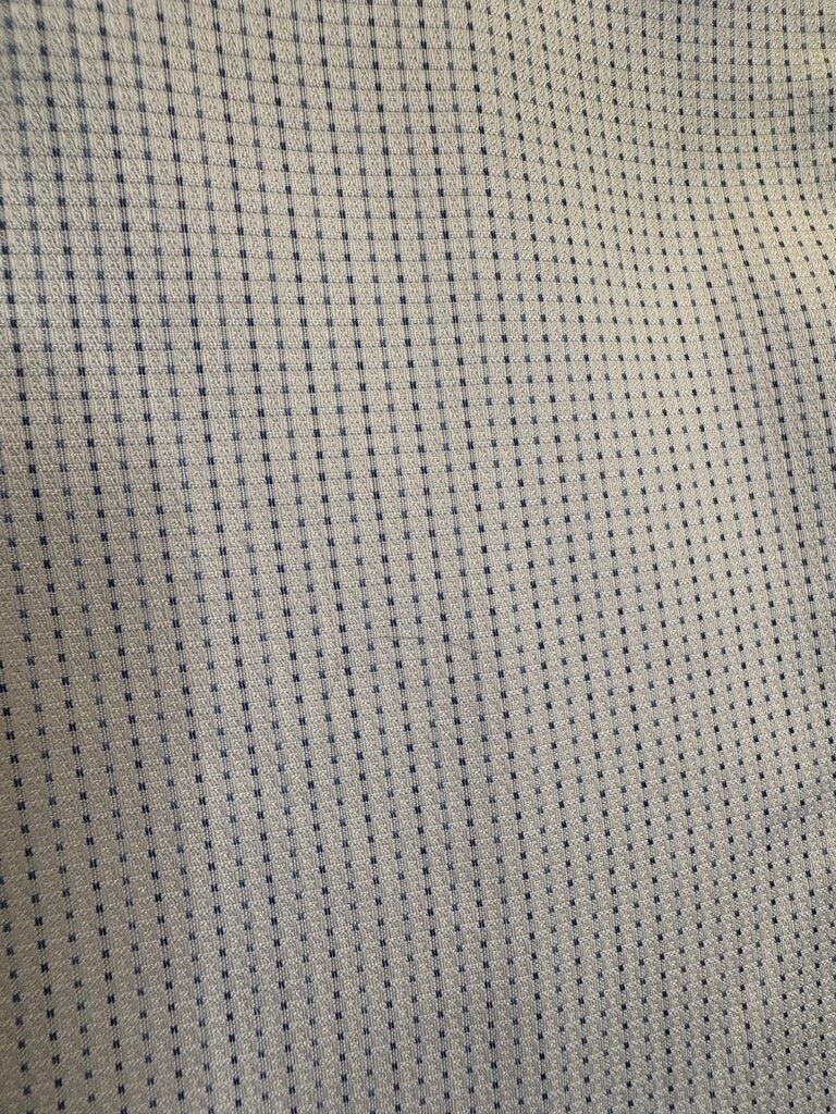 BLUE DASH BETTY BERDINE SHIRT