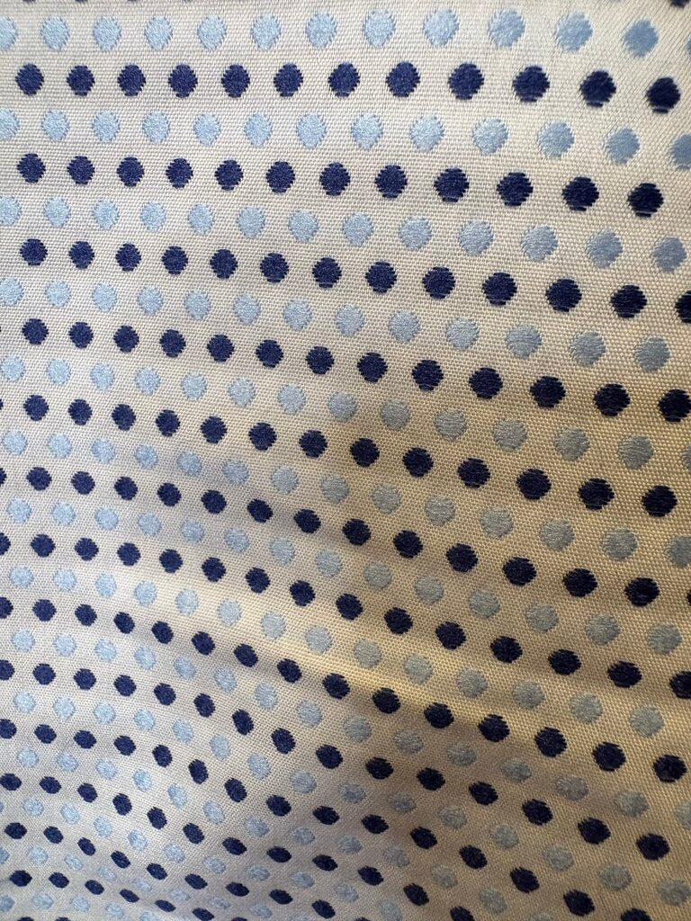 BLUE DOTS BETTY BERDINE SHIRT