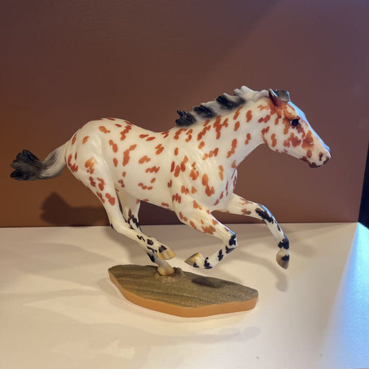 DARK HORSE SURPRISE MATTE APPALOOSA