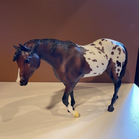 INDIAN PONY APPALOOSA