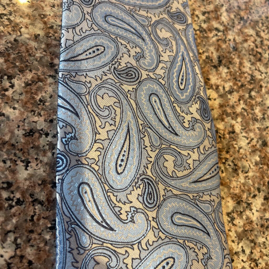 BLUE AND SILVER PAISLEY