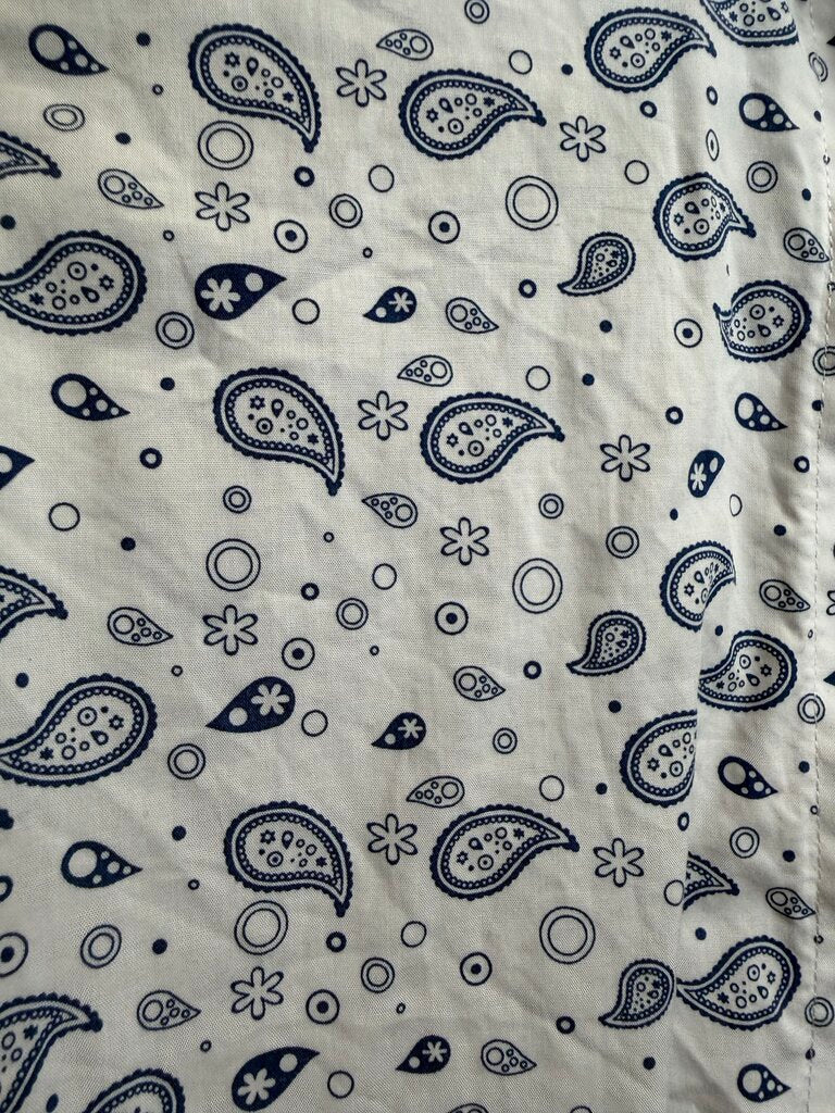 BETTY BERDINE BLUE PAISLEY SHIRT