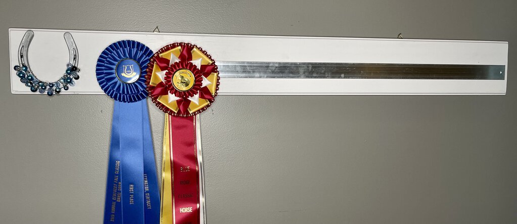 SHOW RIBBON HOLDER