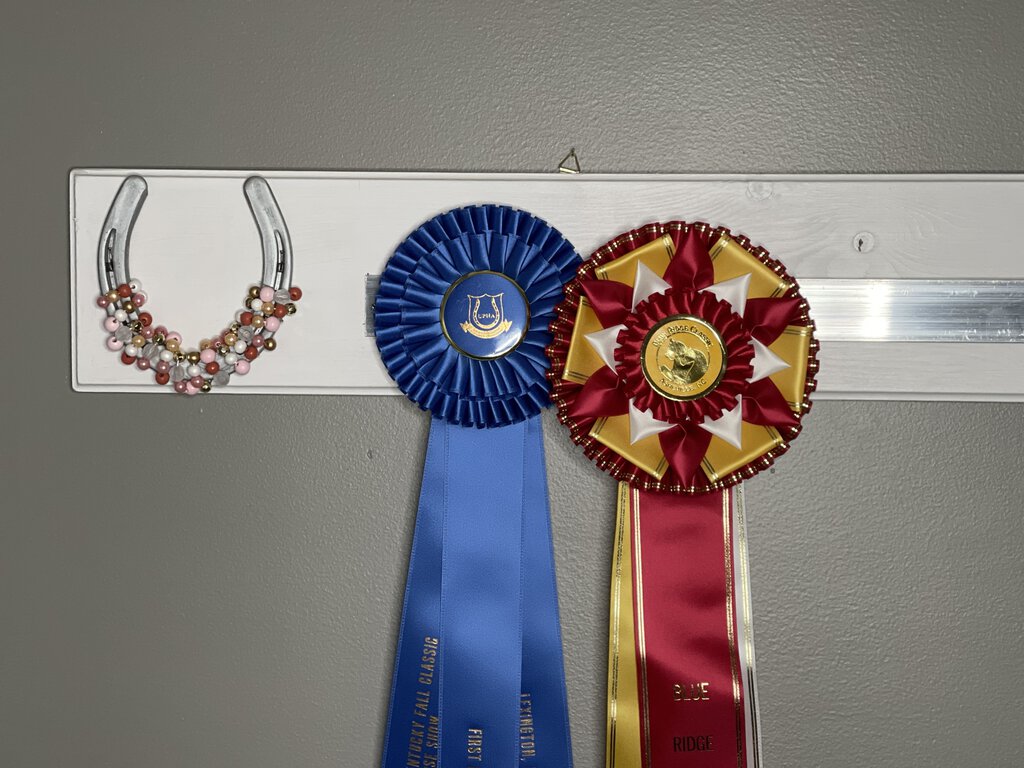 SHOW RIBBON HOLDER