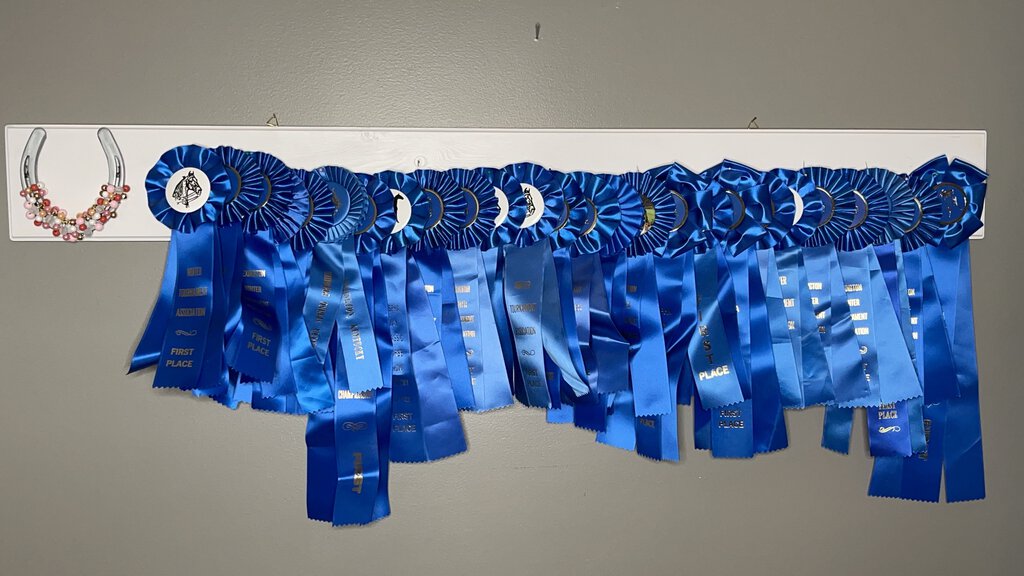 SHOW RIBBON HOLDER